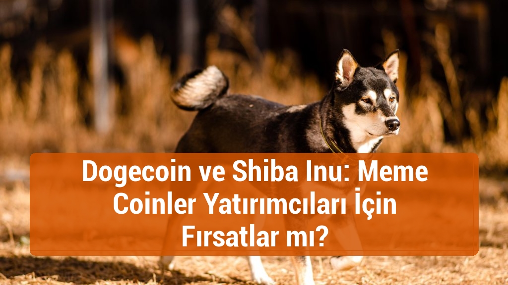 Dogecoin ve Shiba Inu: Meme Coinler Yatırımcıları İçin Fırsatlar mı?