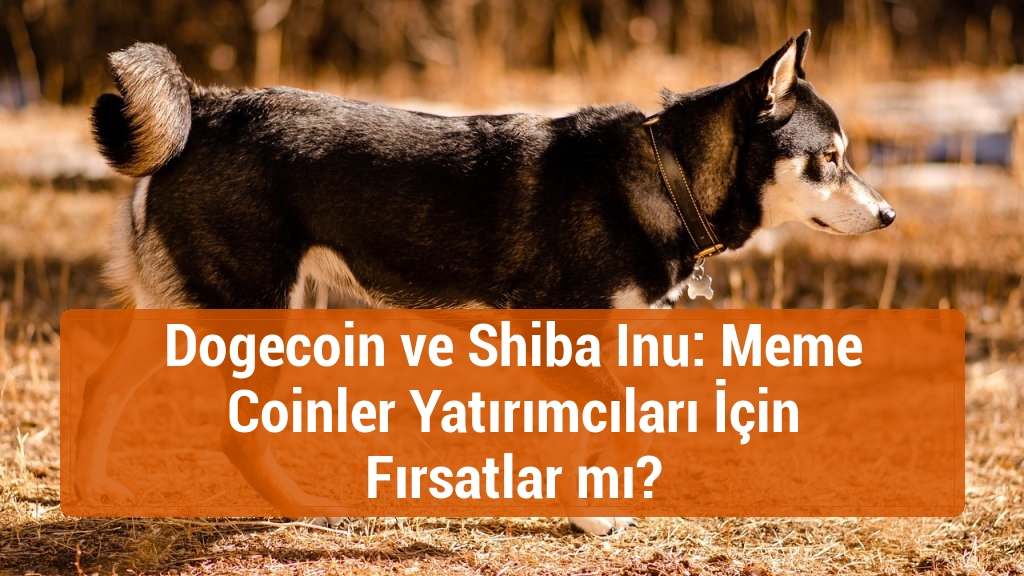 Dogecoin ve Shiba Inu: Meme Coinler Yatırımcıları İçin Fırsatlar mı?