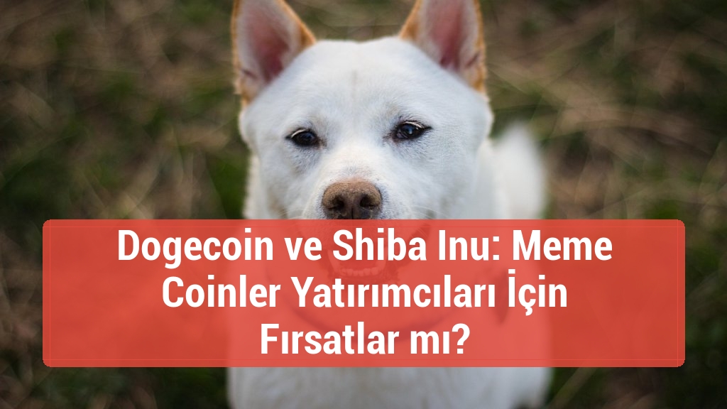 Dogecoin ve Shiba Inu: Meme Coinler Yatırımcıları İçin Fırsatlar mı?