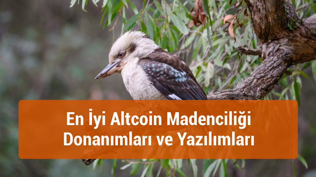 En İyi Altcoin Madenciliği Donanımları ve Yazılımları