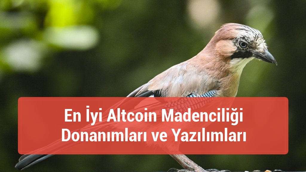 En İyi Altcoin Madenciliği Donanımları ve Yazılımları