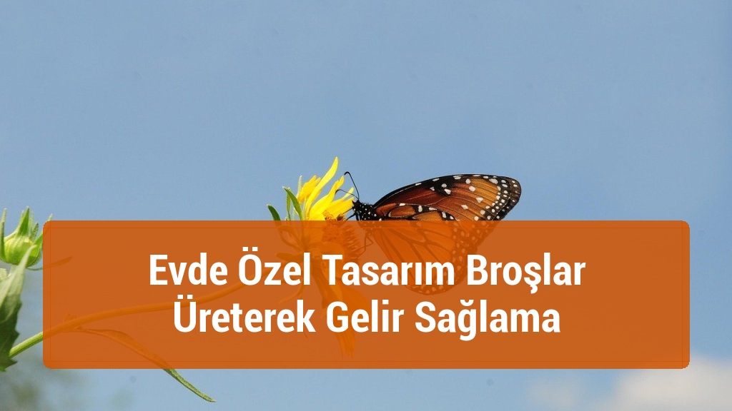 Evde özel tasarım broşlar üreterek gelir sağlama