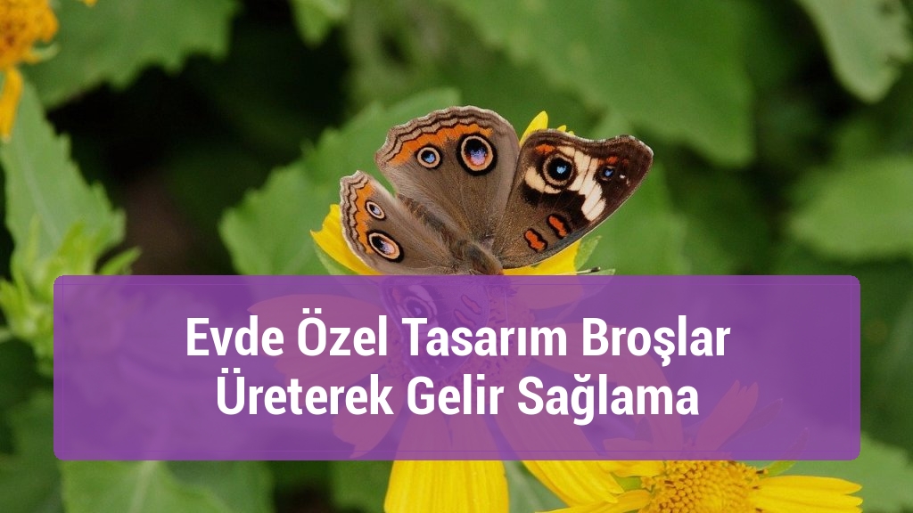 Evde özel tasarım broşlar üreterek gelir sağlama