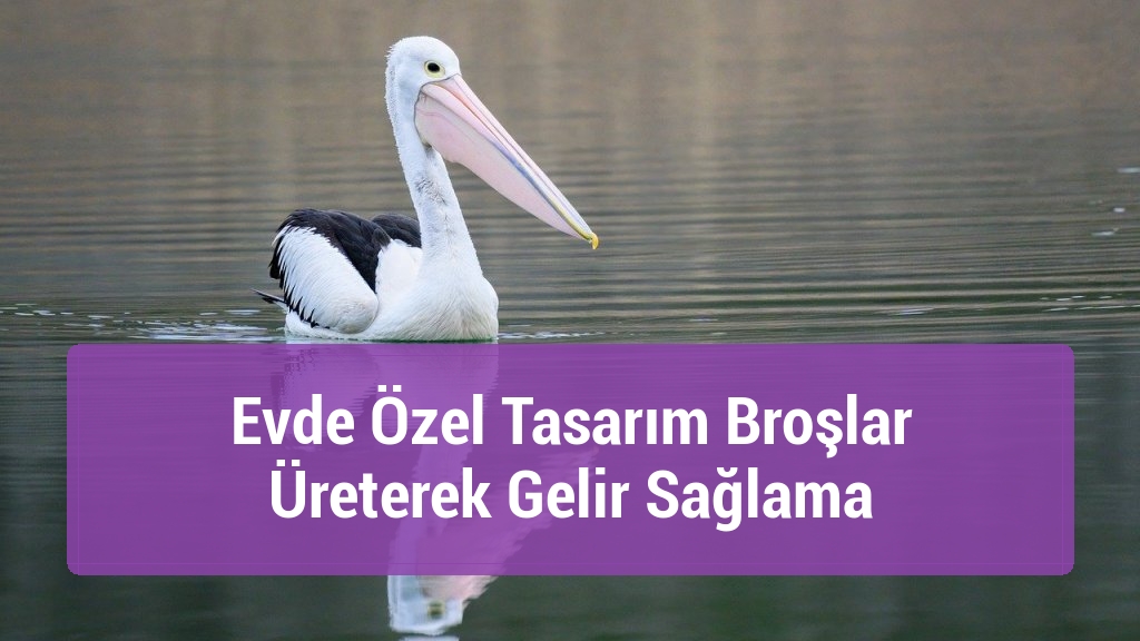 Evde özel tasarım broşlar üreterek gelir sağlama