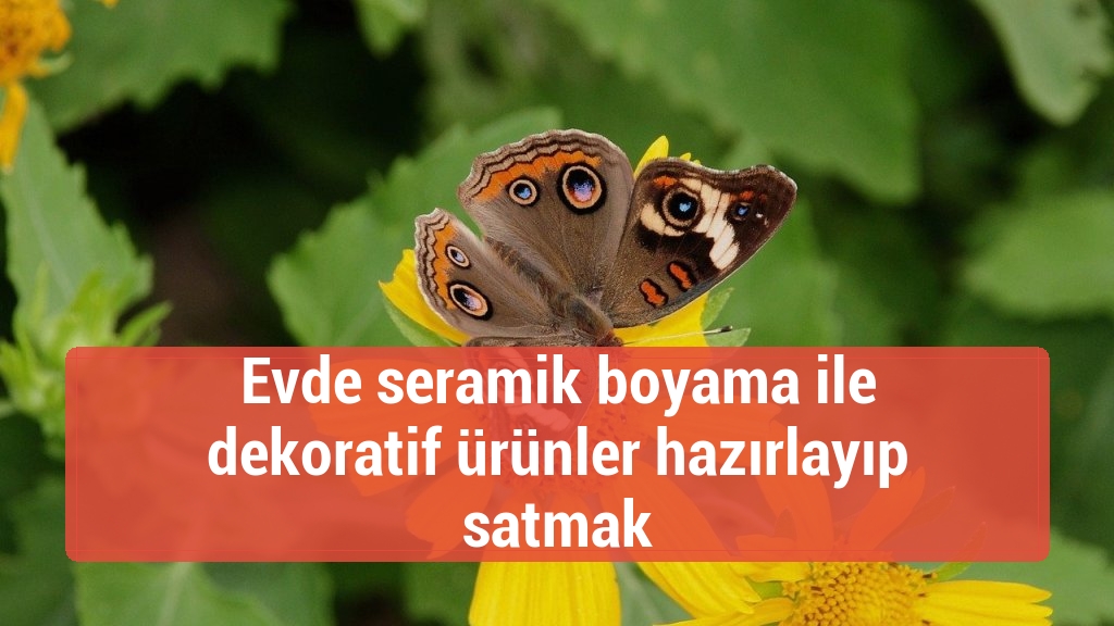 Evde seramik boyama ile dekoratif ürünler hazırlayıp satmak