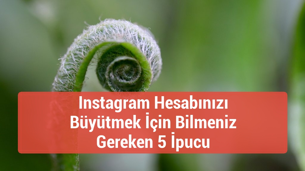 Instagram Hesabınızı Büyütmek İçin Bilmeniz Gereken 5 İpucu