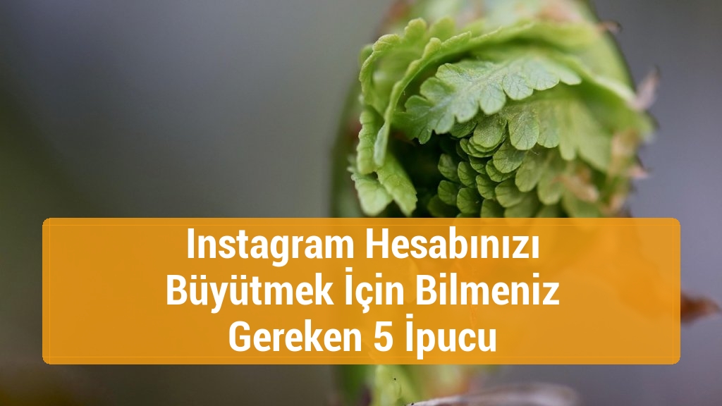 Instagram Hesabınızı Büyütmek İçin Bilmeniz Gereken 5 İpucu