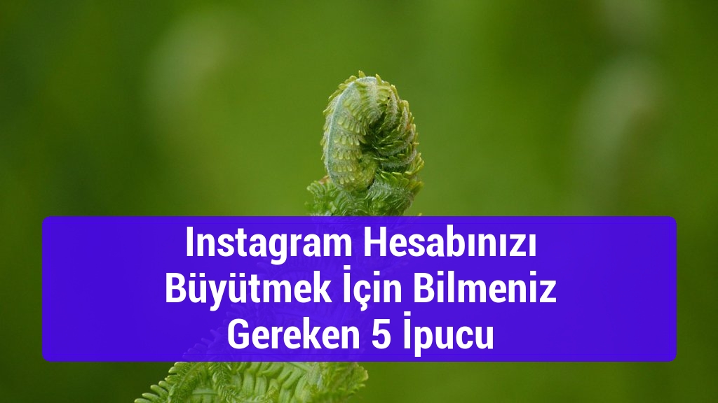 Instagram Hesabınızı Büyütmek İçin Bilmeniz Gereken 5 İpucu