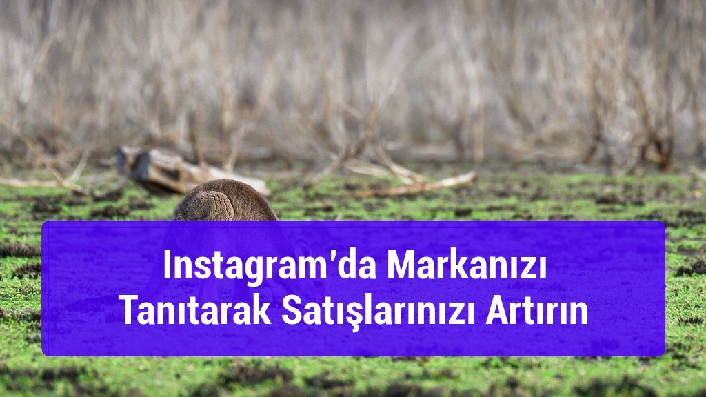 Instagram’da Markanızı Tanıtarak Satışlarınızı Artırın