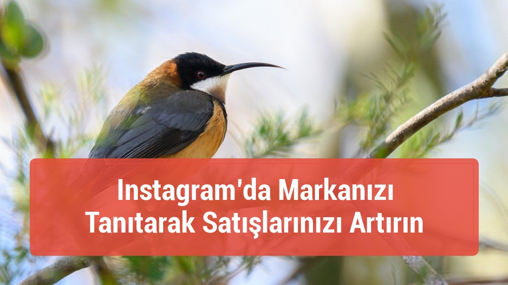 Instagram’da Markanızı Tanıtarak Satışlarınızı Artırın