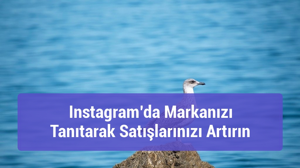 Instagram’da Markanızı Tanıtarak Satışlarınızı Artırın