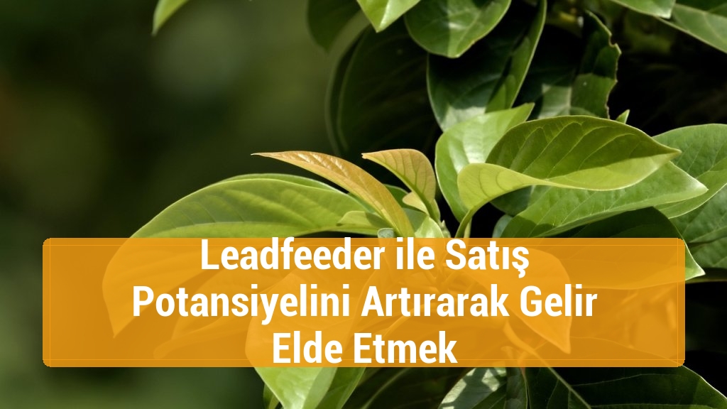 Leadfeeder ile Satış Potansiyelini Artırarak Gelir Elde Etmek