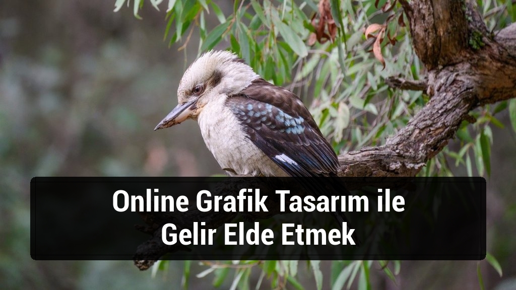 Online Grafik Tasarım ile Gelir Elde Etmek