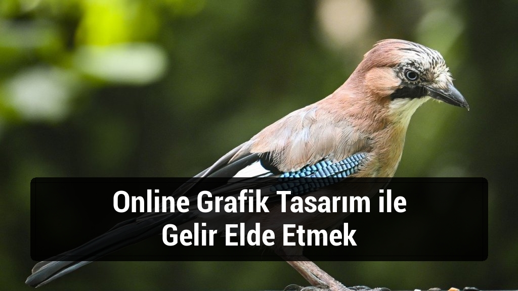Online Grafik Tasarım ile Gelir Elde Etmek