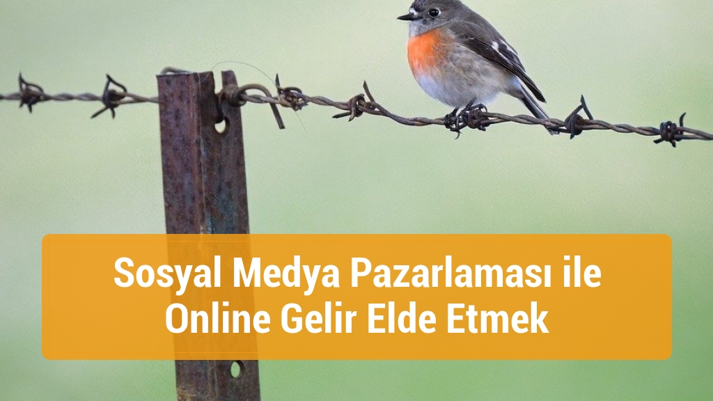 Sosyal Medya Pazarlaması ile Online Gelir Elde Etmek