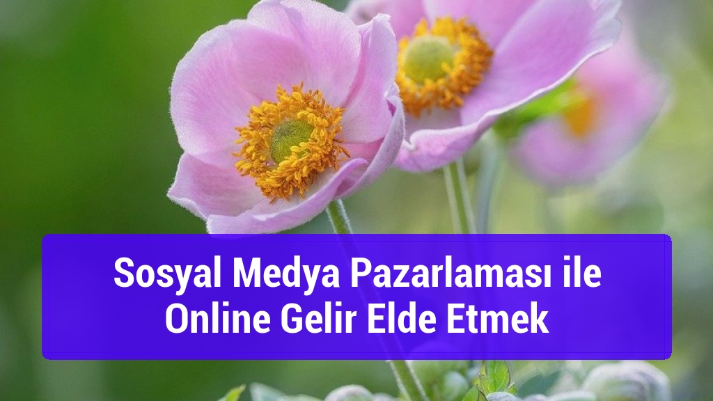 Sosyal Medya Pazarlaması ile Online Gelir Elde Etmek