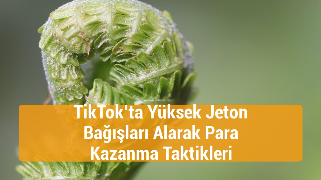 TikTok’ta Yüksek Jeton Bağışları Alarak Para Kazanma Taktikleri