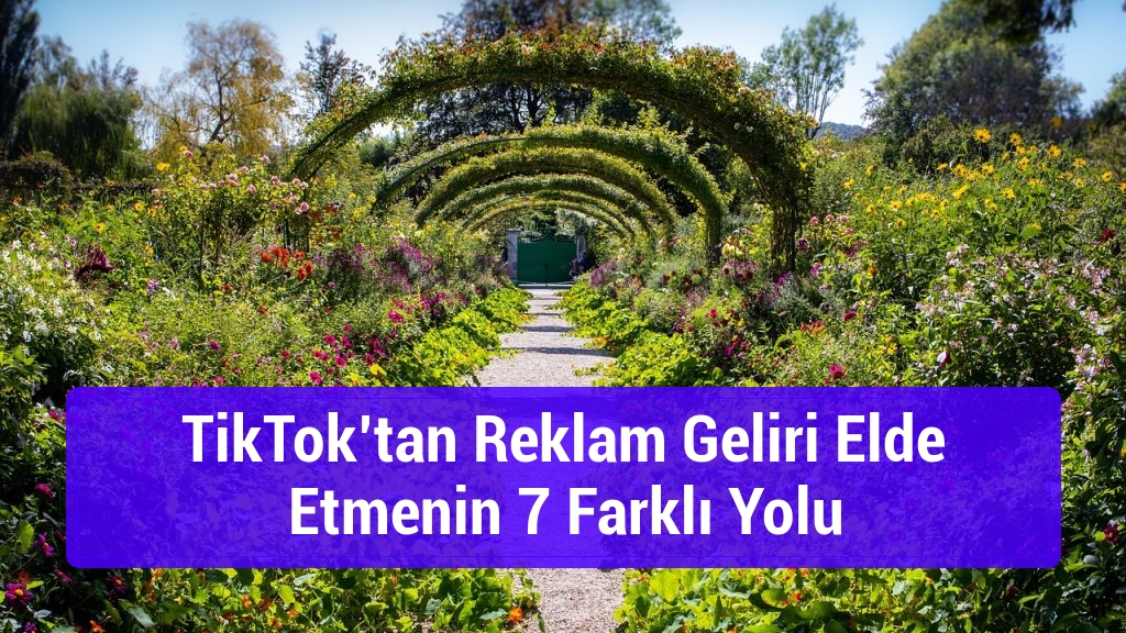 TikTok’tan Reklam Geliri Elde Etmenin 7 Farklı Yolu