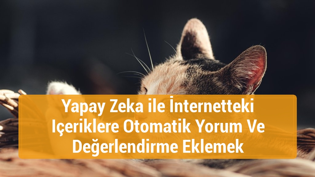 Yapay Zeka ile İnternetteki Içeriklere Otomatik Yorum Ve Değerlendirme Eklemek