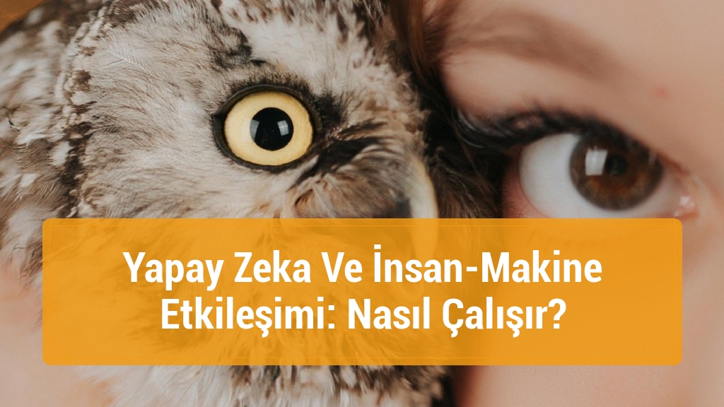 Yapay Zeka Ve İnsan-Makine Etkileşimi: Nasıl Çalışır?