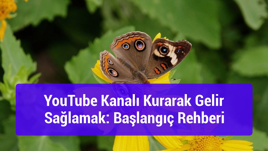 YouTube Kanalı Kurarak Gelir Sağlamak: Başlangıç Rehberi