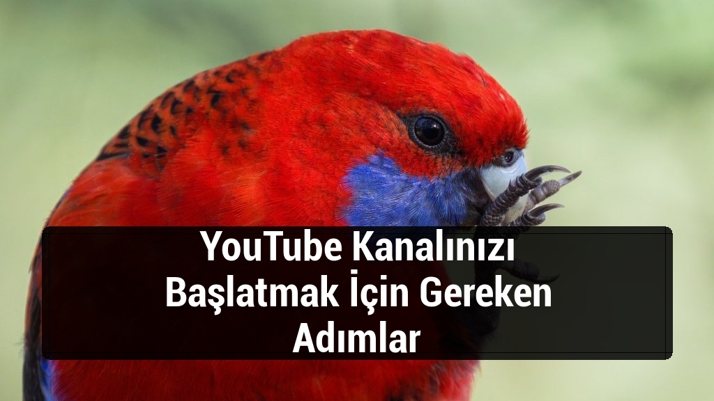 YouTube Kanalınızı Başlatmak İçin Gereken Adımlar