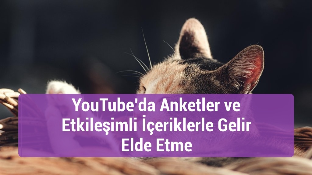 YouTube’da Anketler ve Etkileşimli İçeriklerle Gelir Elde Etme