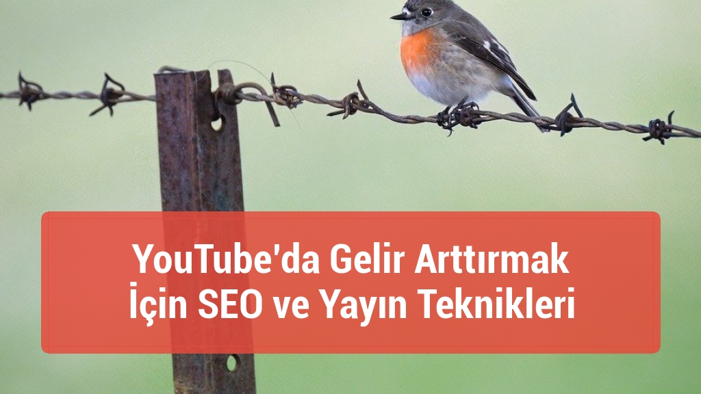 YouTube’da Gelir Arttırmak İçin SEO ve Yayın Teknikleri