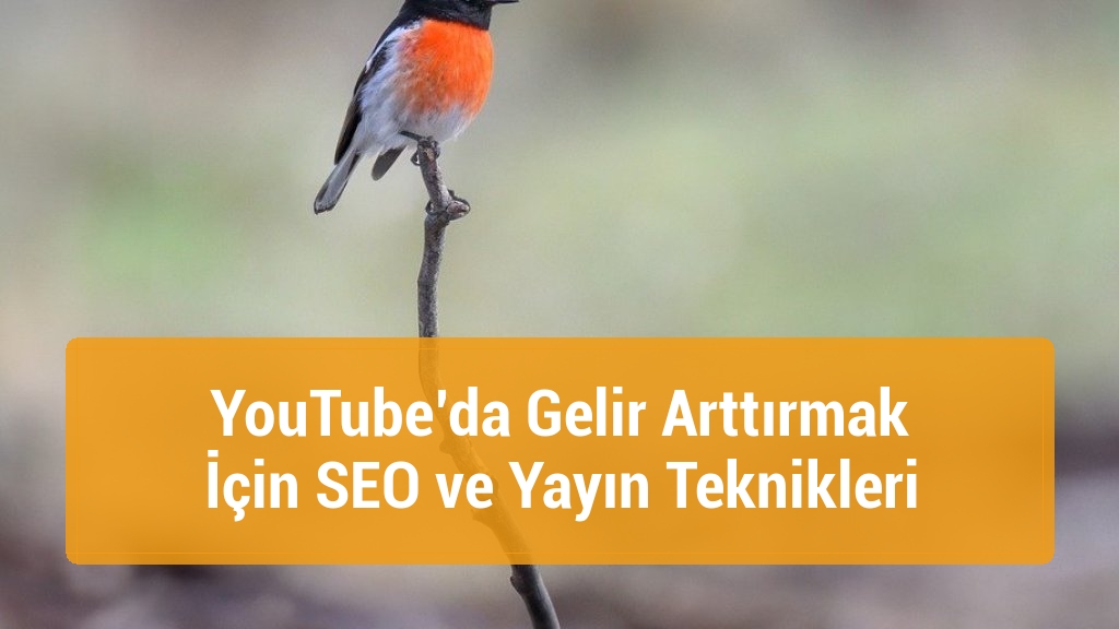 YouTube’da Gelir Arttırmak İçin SEO ve Yayın Teknikleri