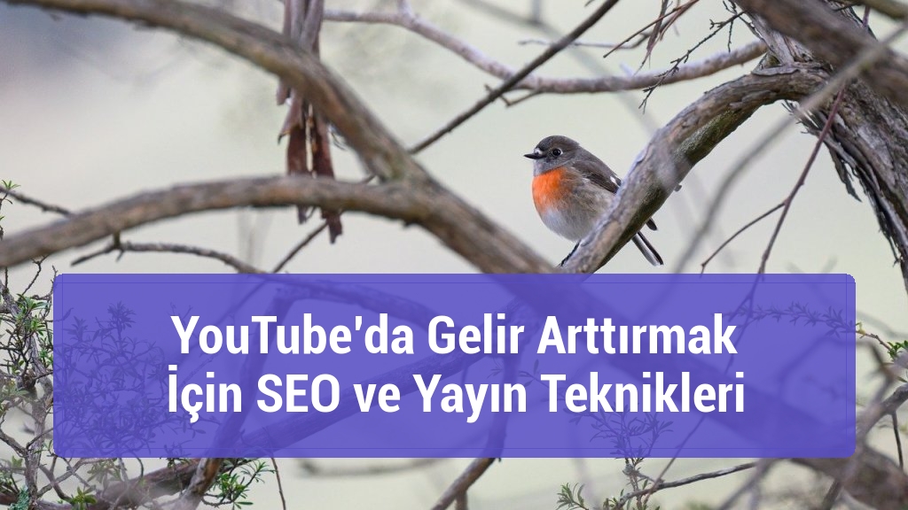 YouTube’da Gelir Arttırmak İçin SEO ve Yayın Teknikleri