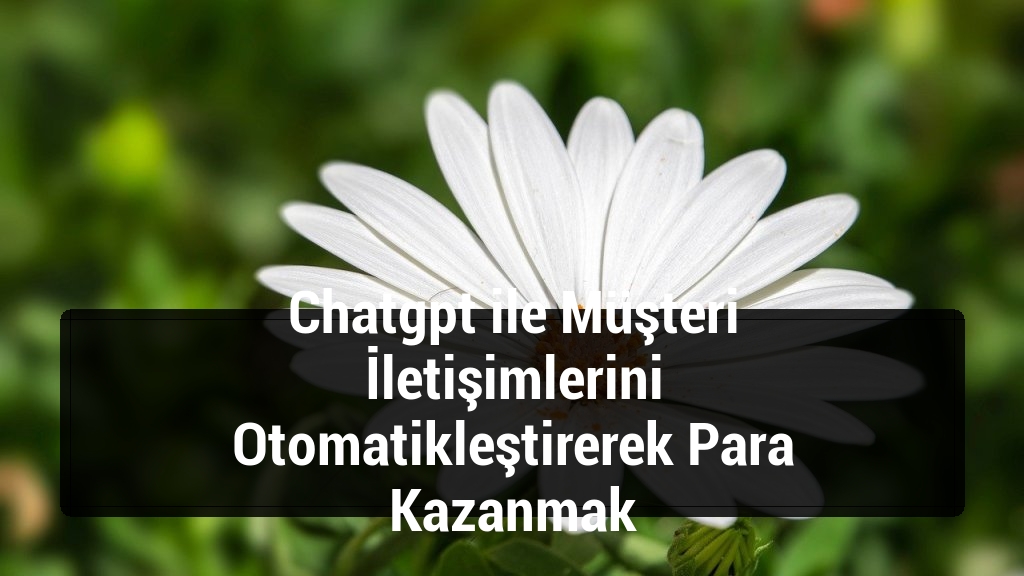 Chatgpt ile Müşteri İletişimlerini Otomatikleştirerek Para Kazanmak