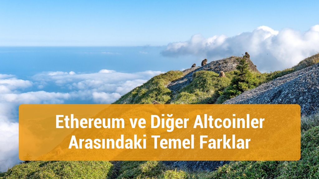 Ethereum ve Diğer Altcoinler Arasındaki Temel Farklar