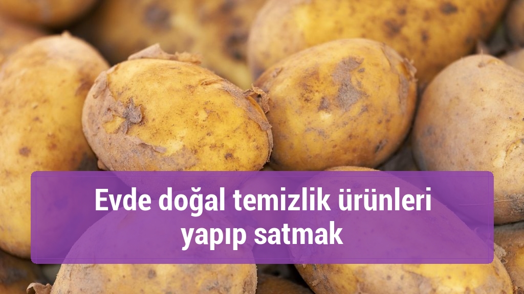 Evde doğal temizlik ürünleri yapıp satmak