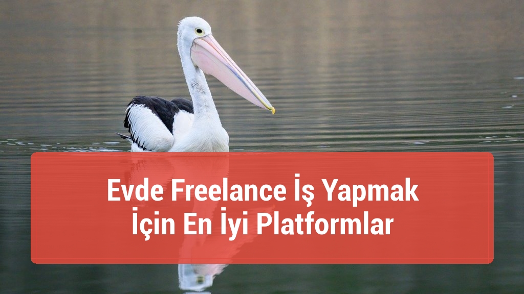 Evde Freelance İş Yapmak İ&ccedil;in En İyi Platformlar