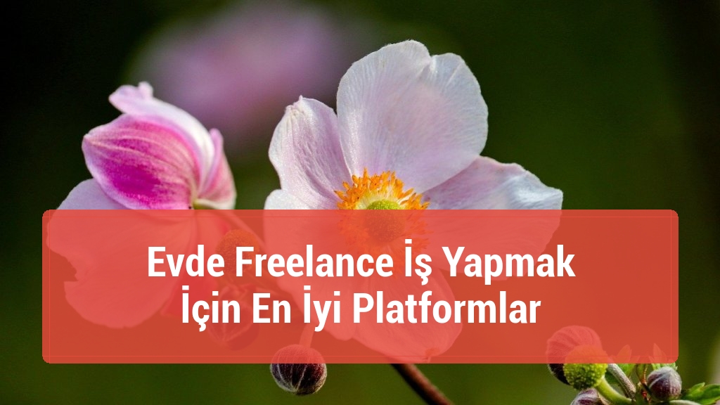 Evde Freelance İş Yapmak İ&ccedil;in En İyi Platformlar
