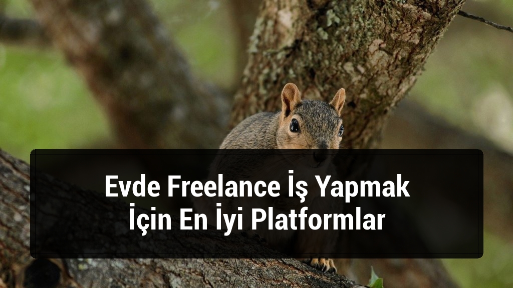 Evde Freelance İş Yapmak İ&ccedil;in En İyi Platformlar