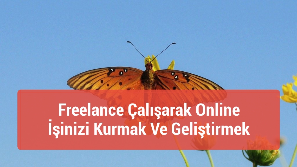 Freelance Çalışarak Online İşinizi Kurmak Ve Geliştirmek