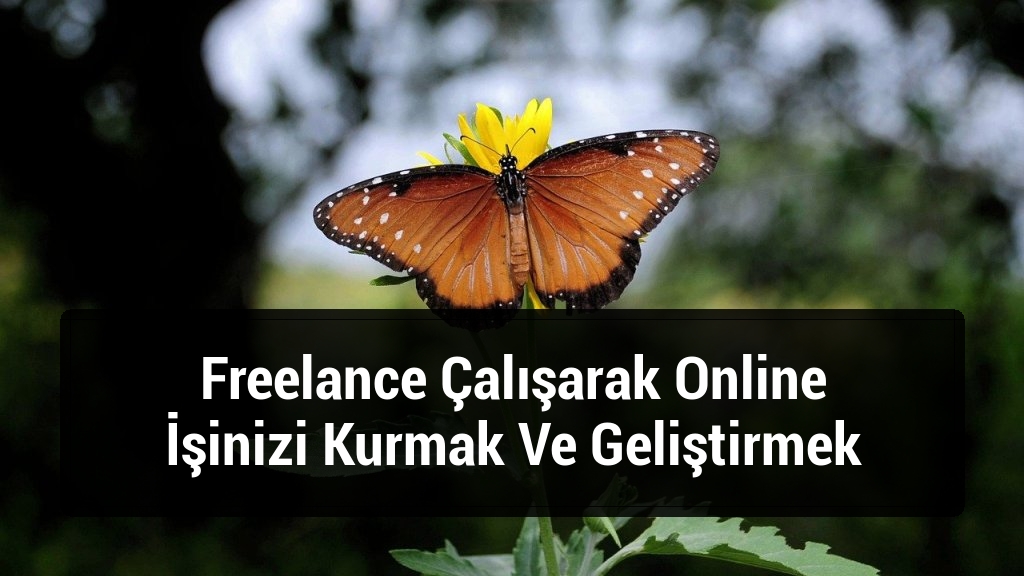 Freelance Çalışarak Online İşinizi Kurmak Ve Geliştirmek