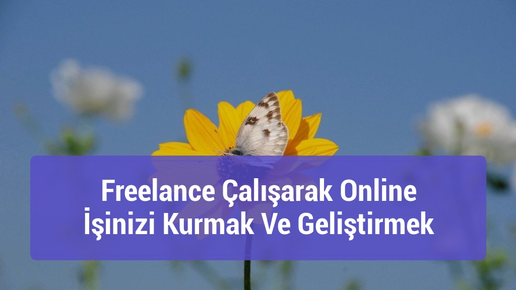 Freelance Çalışarak Online İşinizi Kurmak Ve Geliştirmek