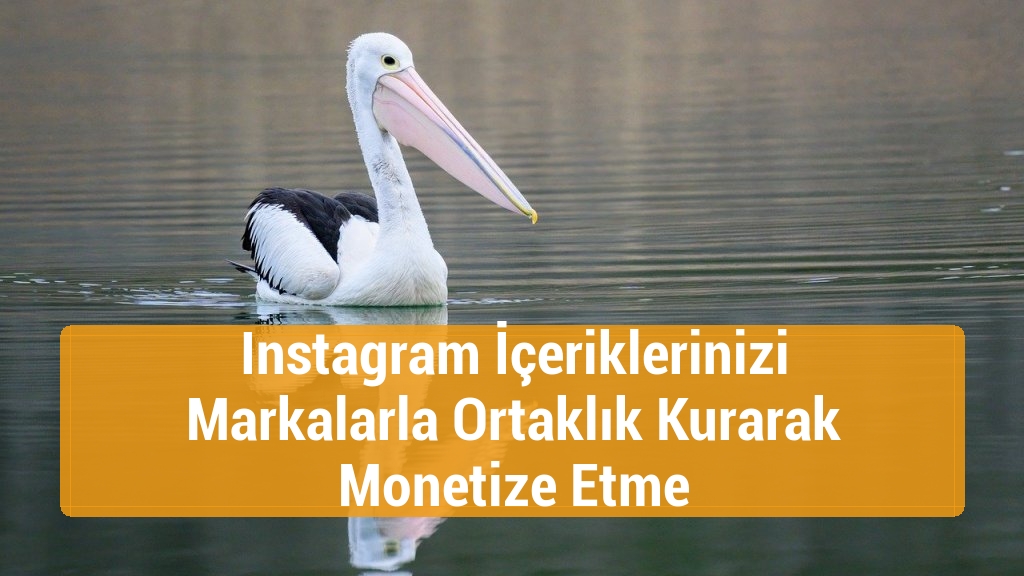 Instagram İçeriklerinizi Markalarla Ortaklık Kurarak Monetize Etme