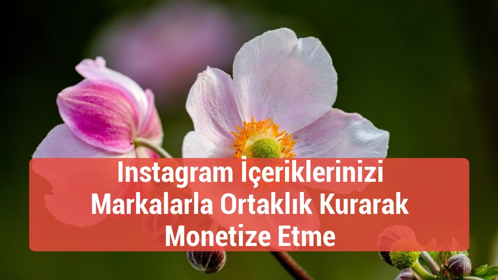 Instagram İçeriklerinizi Markalarla Ortaklık Kurarak Monetize Etme