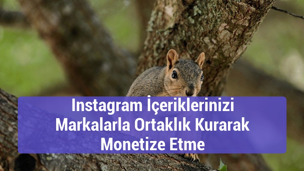 Instagram İçeriklerinizi Markalarla Ortaklık Kurarak Monetize Etme