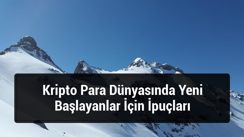 Kripto Para D&uuml;nyasında Yeni Başlayanlar İ&ccedil;in İpu&ccedil;ları