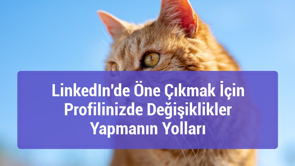 LinkedIn'de Öne Çıkmak İçin Profilinizde Değişiklikler Yapmanın Yolları