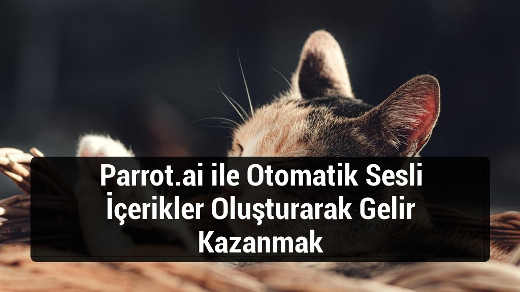Parrot.ai ile Otomatik Sesli İçerikler Oluşturarak Gelir Kazanmak