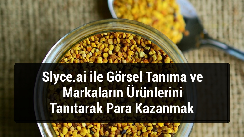 Slyce.ai ile Görsel Tanıma ve Markaların Ürünlerini Tanıtarak Para Kazanmak