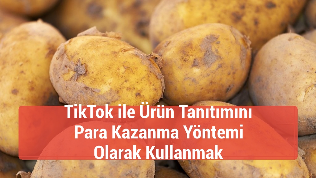 TikTok ile Ürün Tanıtımını Para Kazanma Yöntemi Olarak Kullanmak