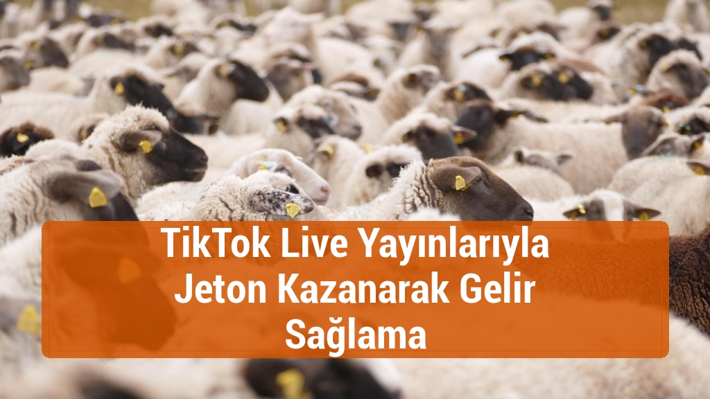 TikTok Live Yayınlarıyla Jeton Kazanarak Gelir Sağlama