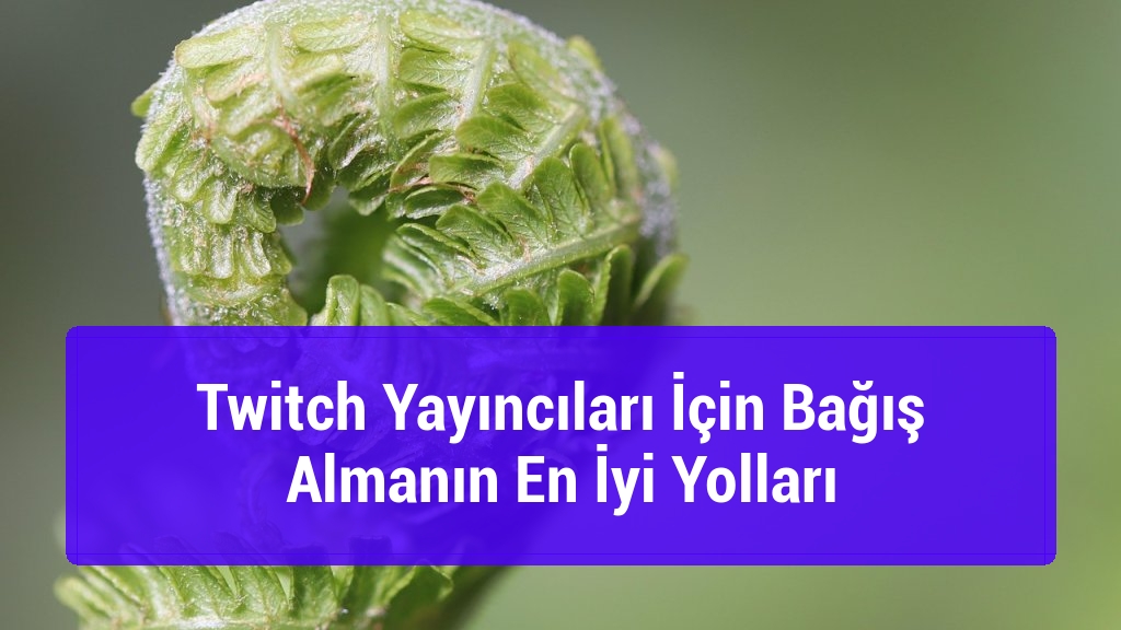 Twitch Yayıncıları İçin Bağış Almanın En İyi Yolları