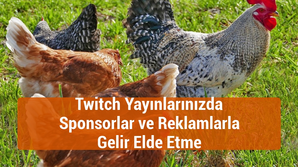 Twitch Yayınlarınızda Sponsorlar ve Reklamlarla Gelir Elde Etme